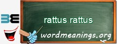 WordMeaning blackboard for rattus rattus